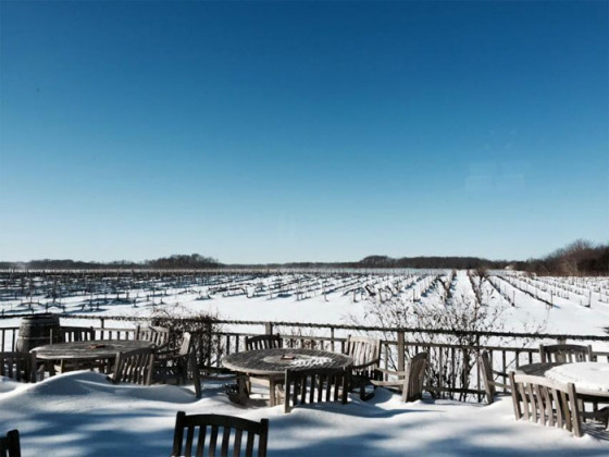 The winter view at Paumanok Vineyards