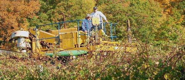 Harvesting Cab F