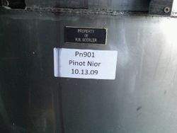 Jamesport-vineyards-harvest-pinot-noir