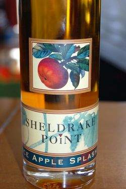 Sheldrakepoint_iceapplesplash