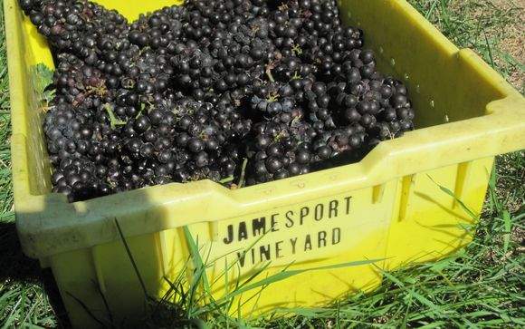 Jamesportpinot