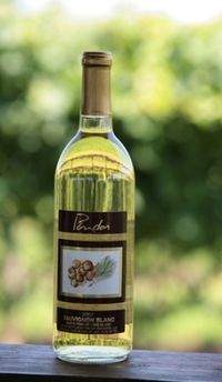 Pindar-2010-sauvblanc