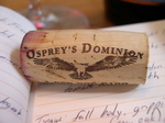 Ospreys_dominion