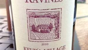 ravines-2010-kvr