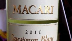 macari-2011-sauvblanc