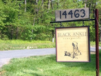 black-ankle-sign