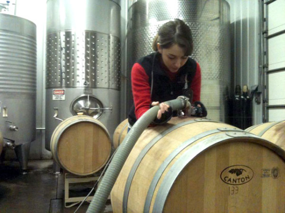 Hector Wine Company assistant winemaker Alex Doniger