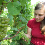 Julia Hoyle
Assisstant Winemaker Sheldrake Point Winery